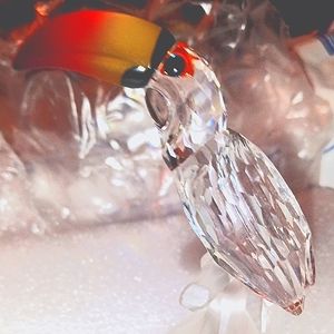 Great Christmas Gift for Swarovski, Toucan, Collectible Lovers
